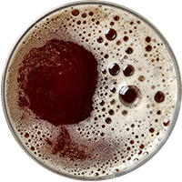 https://www.brasserievndl.com/wp-content/uploads/2022/02/beer_transparent_02.png